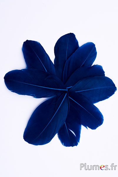 Blütenblätter aus Federn - 6-8 cm x 3-4 cm- nachtblau